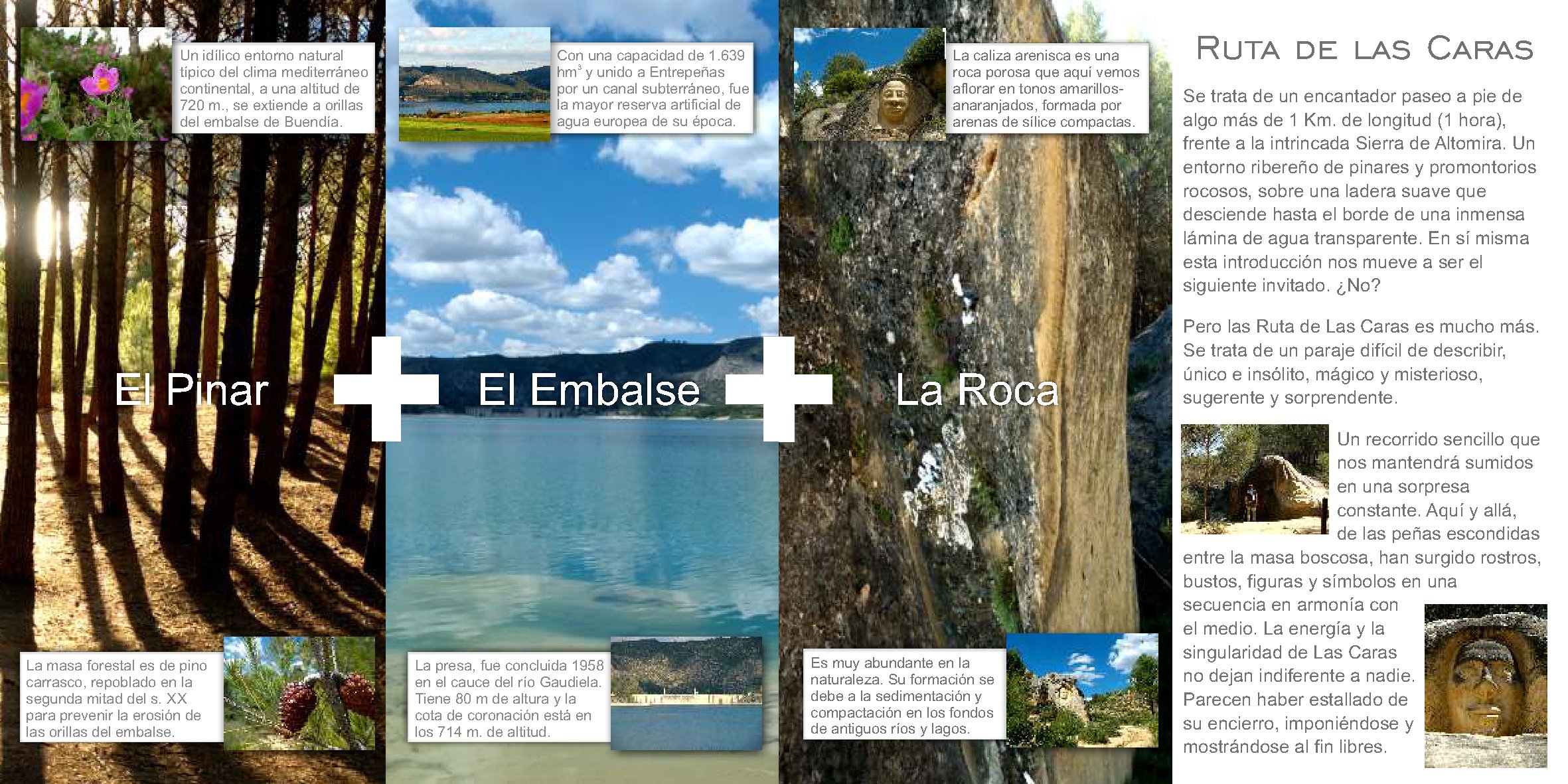 o_aa937a912c377a18_002