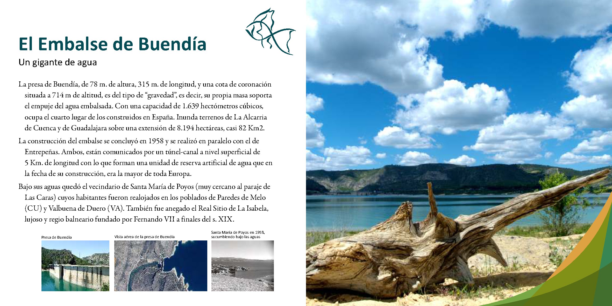 o_f62dc7dfc9dc9593_008