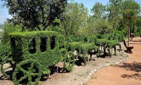 el_bosque_encantado_1