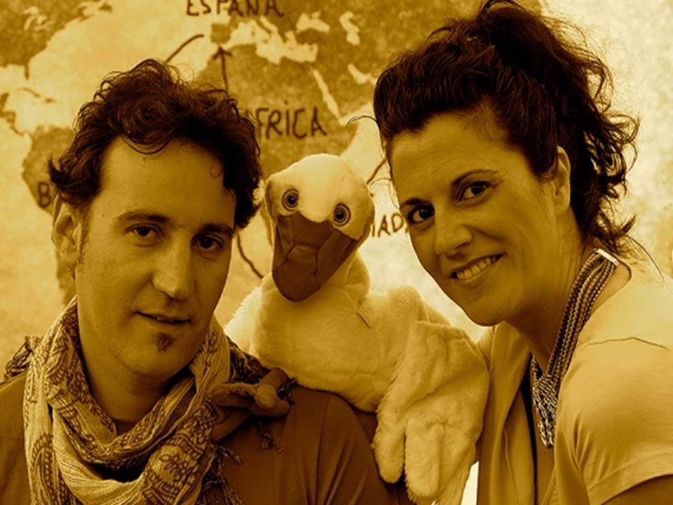 Perculandia