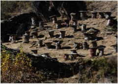 Multisenderos1